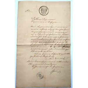 Dokument Landkreis Radzyń - Magistrat der Stadt Radzyń - [ Wasserzeichen - Wappen des Königreichs Polen ] 1868