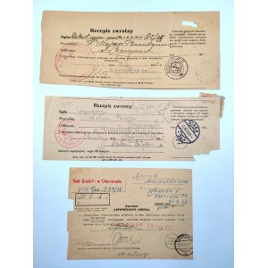 Gegenseitige Rücksendung - Briefmarken Ropczyce, Biała, Chorzów, Przemyśl - 1925/38