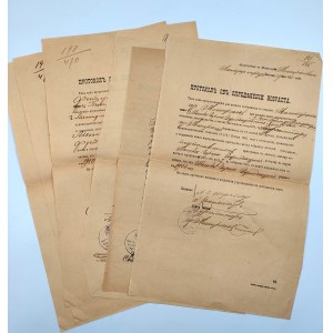 Sbírka listin - listiny o seznámení - označení století - Radzyň, ruský oddíl