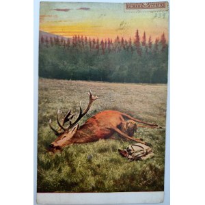 Pohľadnica - Poľovníctvo - Zastrelený jeleň - 20. roky 20. storočia