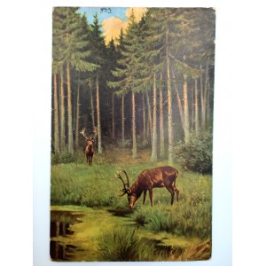 Postcard - Hunting - Deer [address Barracks].