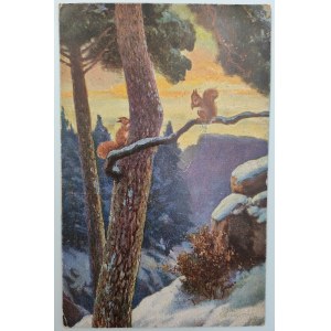 Pocztówka - Wiewiórki - stempel 10 Tysięcy [1923]