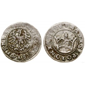 Polen, halber Pfennig, 1508, Krakau