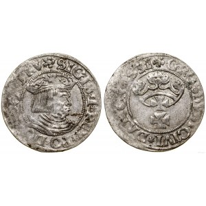 Poľsko, penny, 1531, Gdansk