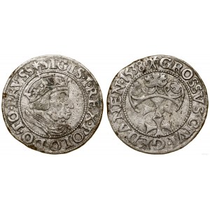 Polsko, penny, 1538, Gdaňsk