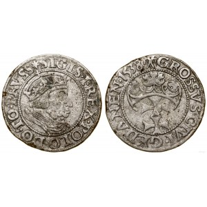 Poľsko, penny, 1538, Gdansk