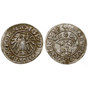 Poland, sheląg, 1538, Gdansk