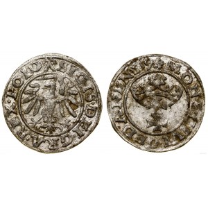 Poland, sheląg, 1539, Gdansk