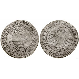 Polsko, penny, 1531, Toruň