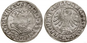 Polska, grosz, 1531, Toruń
