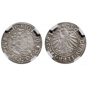 Polen, Pfennig, 1534, Toruń