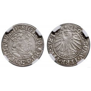 Poľsko, penny, 1534, Toruń