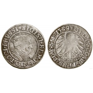 Polen, Pfennig, 1534, Toruń