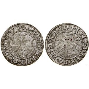 Polen, Pfennig, 1534, Elbląg