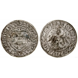 Polen, Pfennig, 1535, Elbląg