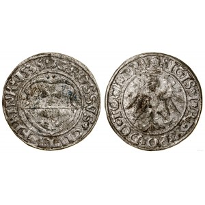 Polsko, penny, 1535, Elbląg