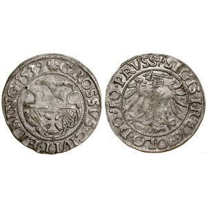 Poland, penny, 1539, Elbląg