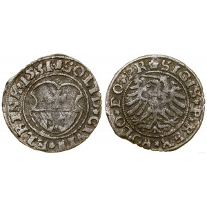 Polska, szeląg, 1531, Elbląg