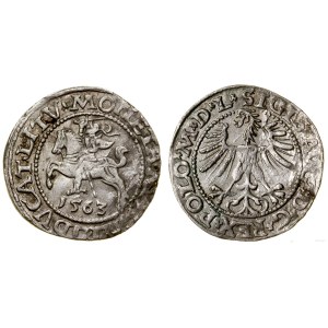 Polsko, půlpenny, 1563, Vilnius