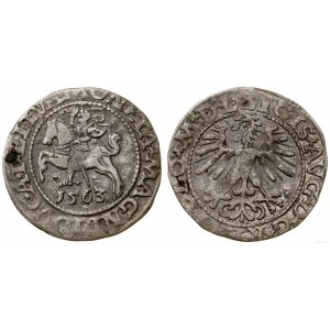 Polen, halber Pfennig, 1563, Vilnius