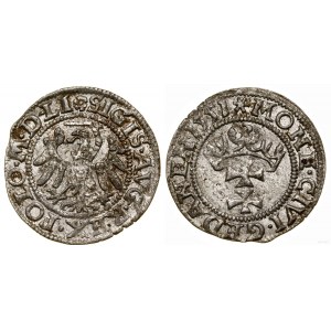 Polen, Schilling, 1551, Danzig