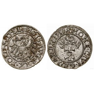Poľsko, šiling, 1551, Gdansk