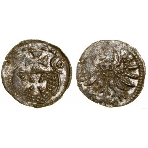 Poland, denarius, 1556, Elbląg