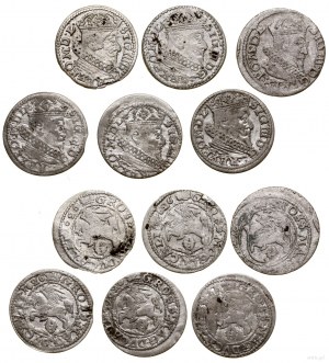 Polska, zestaw 6 x grosz, 1625, 5 x 1626, Wilno