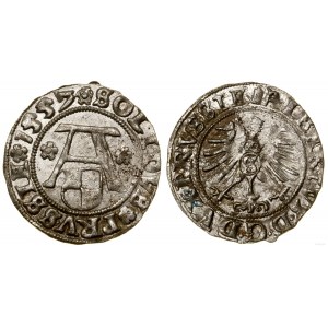 Knížecí Prusko (1525-1657), šelak, 1557, Königsberg