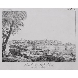 Ansicht der Stadt Sidney in Neu Holland