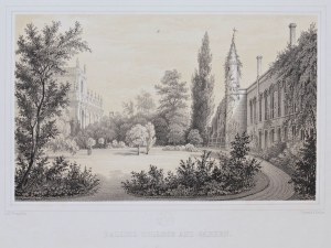 Friedrich Julius Tempeltey, Balliol College and Garden. Oxford.