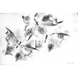 Bronislaw Chromy, drawing, butterflies,