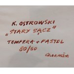 Kazimierz Ostrowski, tempera, pastel,