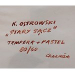 Kazimierz Ostrowski, Tempera, Pastell,
