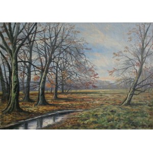 A.N., Herbst-Landschaft