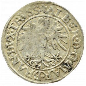 Kniežacie Prusko, Albrecht, pruský groš 1535, Königsberg