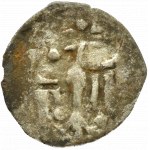 Ladislaus Jagiello, early denarius with W above the shield, Wschowa