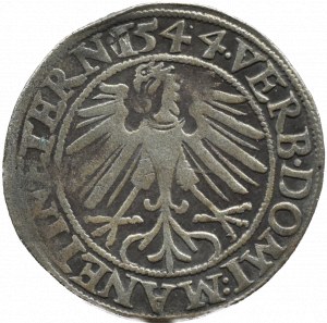 Silesia, Ks. Legnicko-Brzesko-Wołowskie, Frederick II Legnicki, penny 1544, Brzeg
