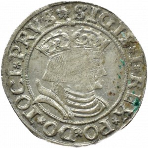 Sigismund I the Old, penny 1531, Toruń PRVS/PRVS