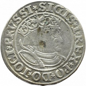 Sigismund I the Old, penny 1532, Torun, PRUSSI/PRUSS