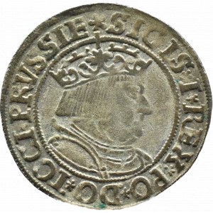 Zygmunt I Stary, grosz 1534, Toruń, PRVSSIE/PRVSSIE