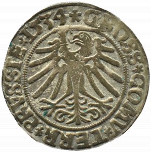 Zygmunt I Stary, grosz 1534, Toruń, PRVSSIE/PRVSSIE