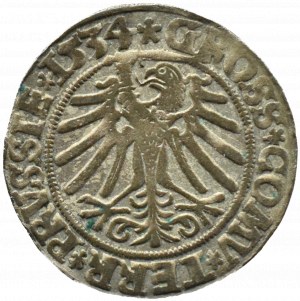 Sigismund I the Old, penny 1534, Torun, PRVSSIE/PRVSSIE