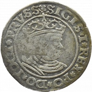 Zygmunt I Stary, grosz 1530, Toruń PRVSS/PRVSS