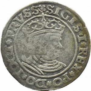 Sigismund I the Old, penny 1530, Toruń PRVSS/PRVSS