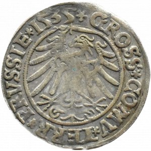 Zygmunt I Stary, grosz 1535, Toruń, PRVSSIE/PRVSSIE, mniejsza głowa