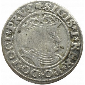 Sigismund I the Old, penny 1530, Toruń PRVS/PRVS