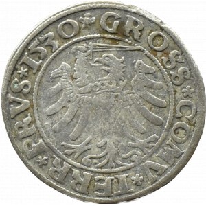 Sigismund I the Old, penny 1530, Toruń PRVS/PRVS