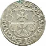 Zygmunt I Stary, trojak 1540 ELBIN, Elbląg, rzadki