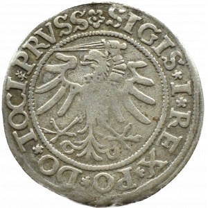 Zygmunt I Stary, grosz miejski 1533, Elbląg